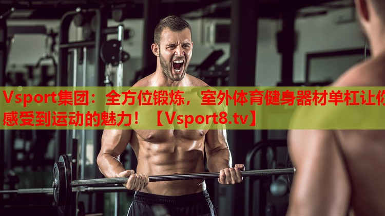 Vsport集團(tuán)：全方位鍛煉，室外體育健身器材單杠讓你感受到運(yùn)動(dòng)的魅力！