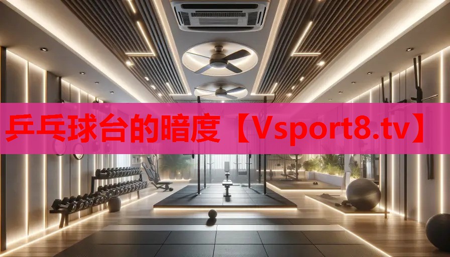 乒乓球臺(tái)的暗度