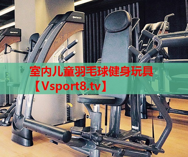 室內(nèi)兒童羽毛球健身玩具